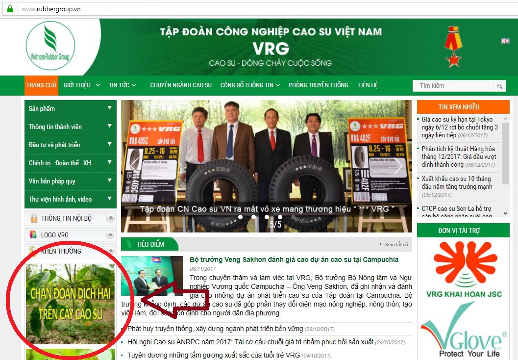 Liên kết trên trang mạng của Tập đoàn Công nghiệp Cao su Việt Nam